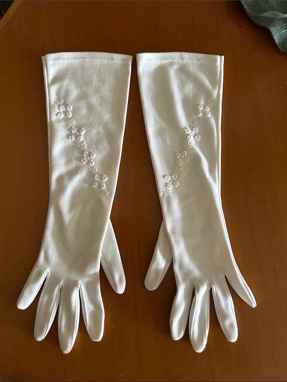 Vintage Embroidered Long Gloves